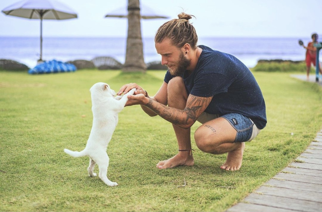 Mascotas en verano