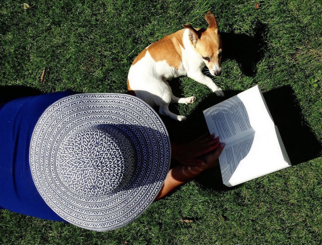 Mascotas en verano