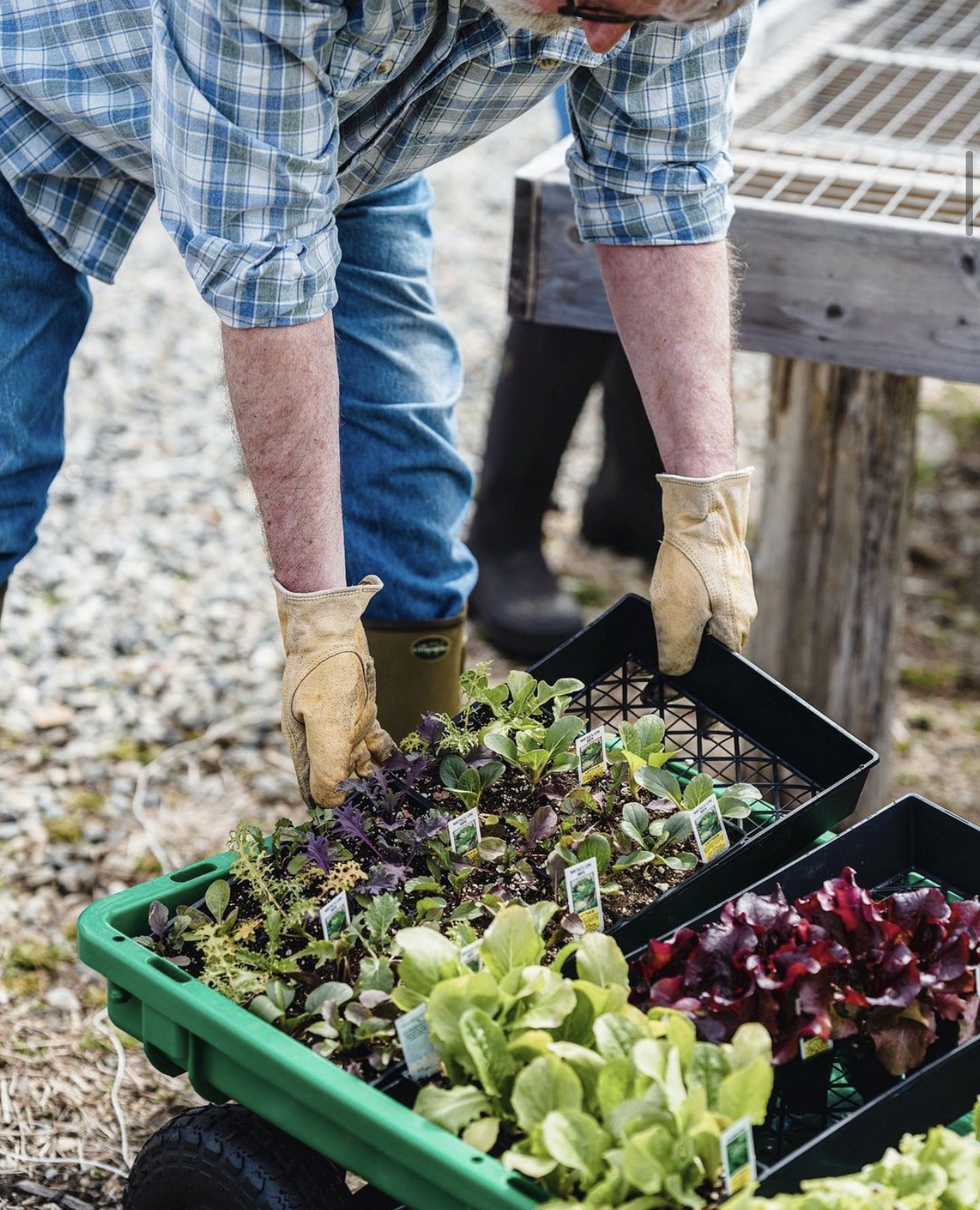 La jardinería