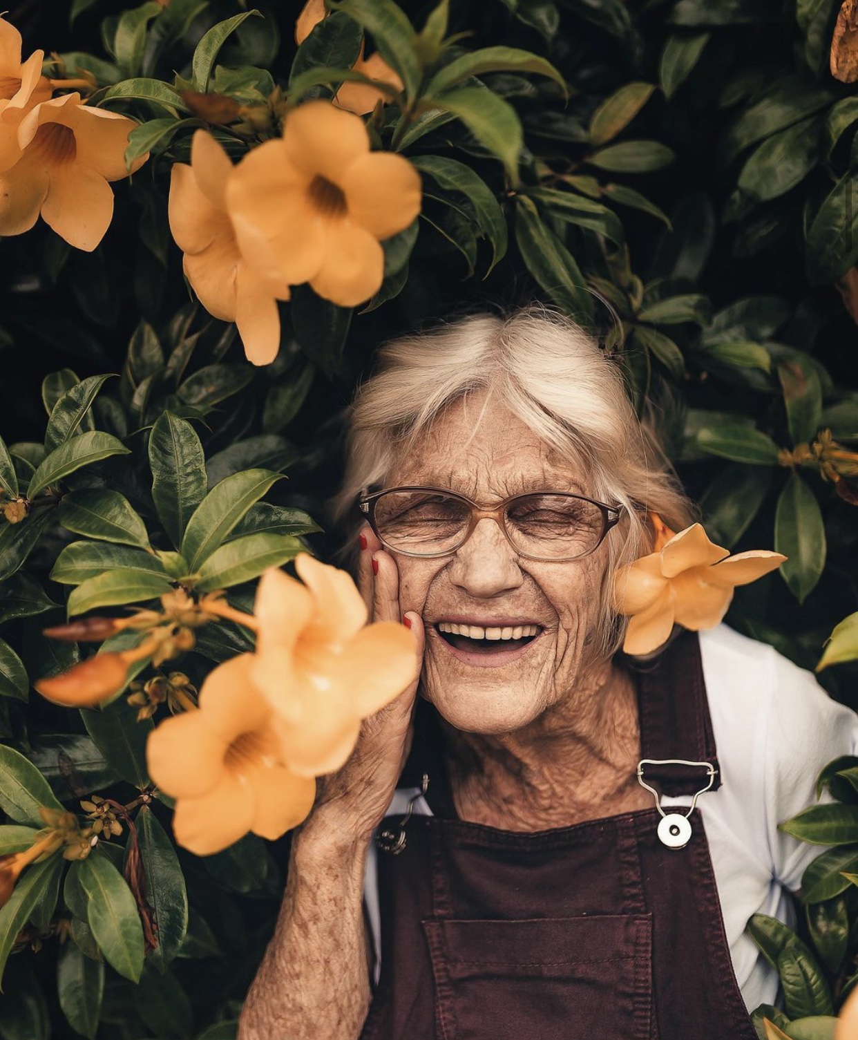Beneficios de las flores 
